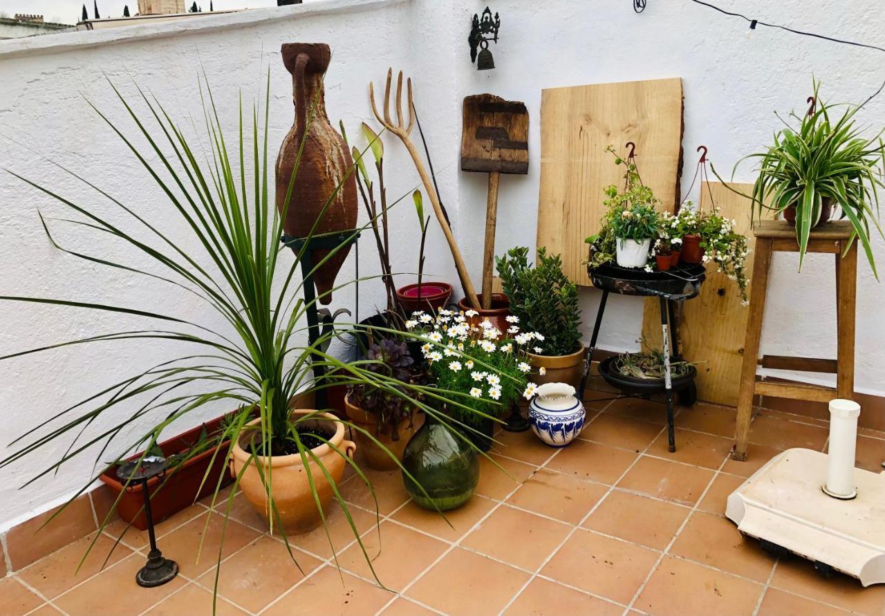 Accommodatie bij particulieren Casa Guidai *